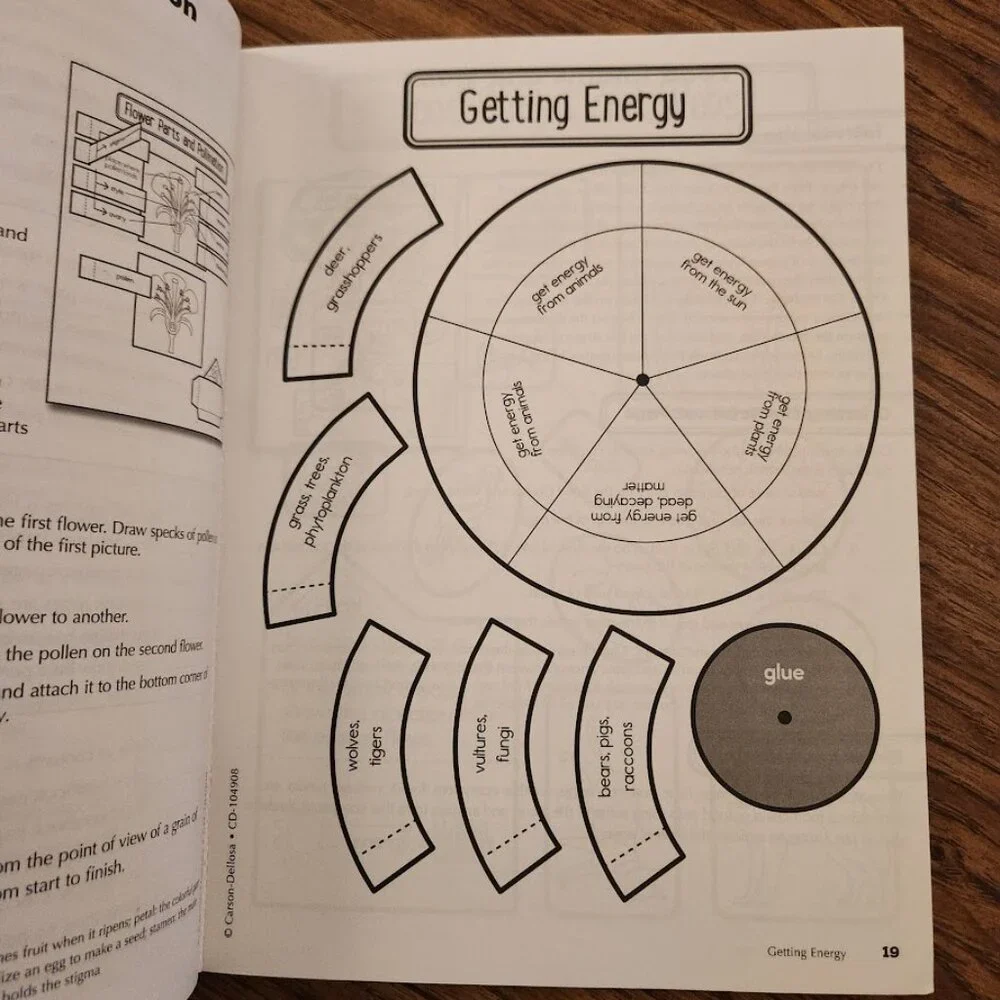 Carson Dellosa Science Interactive Notebook 4th Grade Book Workbook Activity